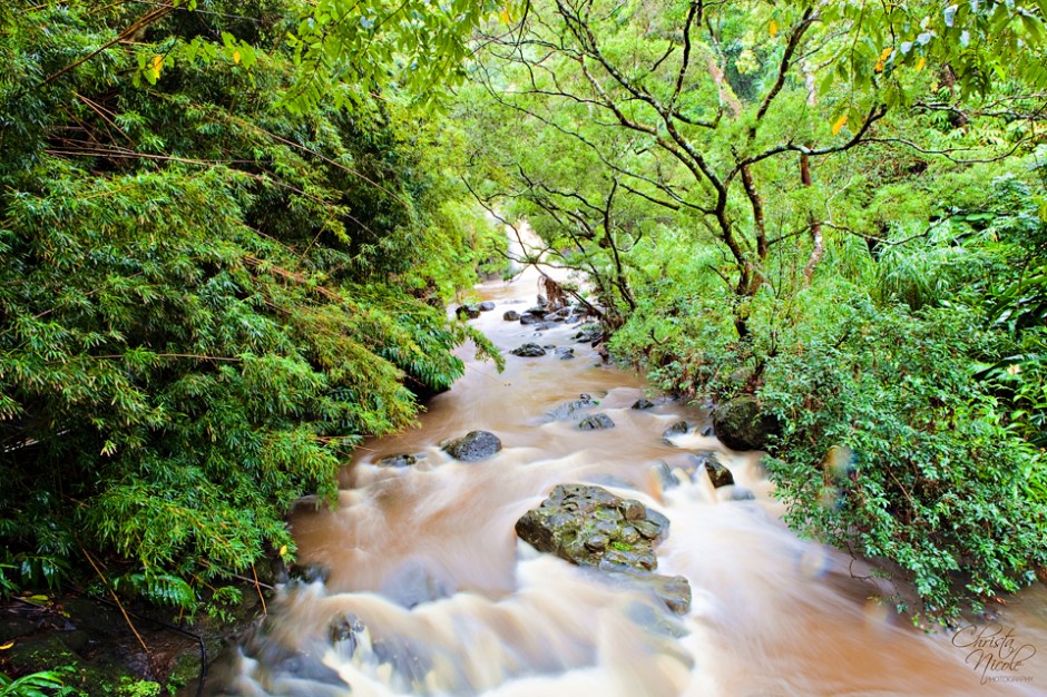 If it hadn't of rained at or if I had of realized I had water droplets on my lens before I look the picture, I would enjoy this that much more ;)