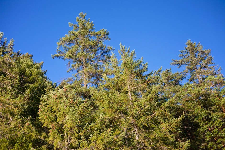 Sarah &amp; Jordan 039